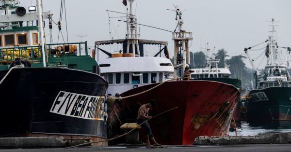 FAO launches fishing Global Information Exchange System under the 2009 agreement on port measures - Vimarsana News