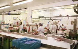 FIMCO abattoir at Sand Bay, close to the capital Stanley 