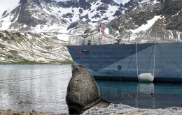 A seal keeps watch on HMS Forth at Grytviken 