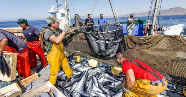 Spain urges reconsideration of argentine fisheries measures by President Milei - Vimarsana News