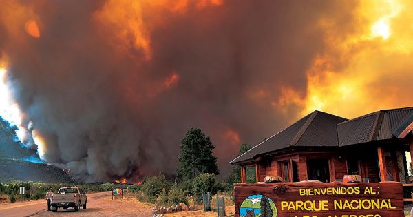 Mapuche Resistance behind National Park fire, Chubut governor says - Vimarsana News