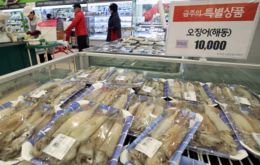 Korea Agro-Fisheries & Food Trade Corporation and the Korea Agricultural Market Information System claim the price of a medium-sized frozen squid has increased 20.8% in twelve months