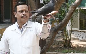 The role of the NGO Peta India was instrumental in ensuring the bird's release and certifying its good health.