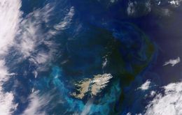 The EU's Copernicus Sentinel-3 mission, offers a sweeping view of an algae bloom around the Falkland Islands in  the South Atlantic