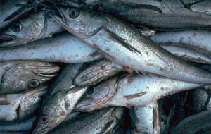 Of the 15,780 tonnes of hake landed in January 2007, only 113 tonnes were caught north of parallel 41Ãâ€šÃ‚Âº S