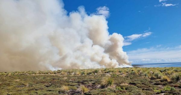 Falklands sends more firefighters and FIDF to combat fire at Sea Lion Island - Vimarsana News