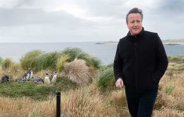 Lord Cameron visits Gypsy Cove on the Falkland Islands last month, where he saw Magellanic Penguins (Pic PA)
