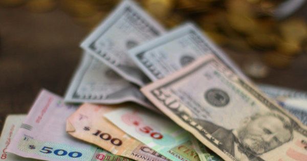 Uruguayan rural producers affected by stronger local currency - Vimarsana News