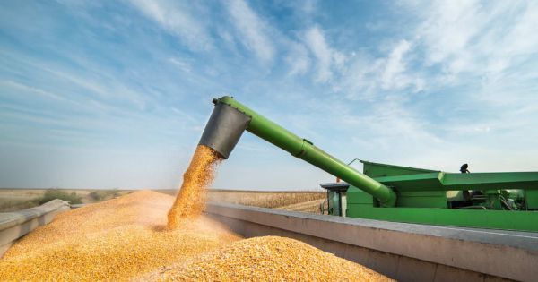 Downward revision reported for Argentine 2024 agricultural exports - Vimarsana News