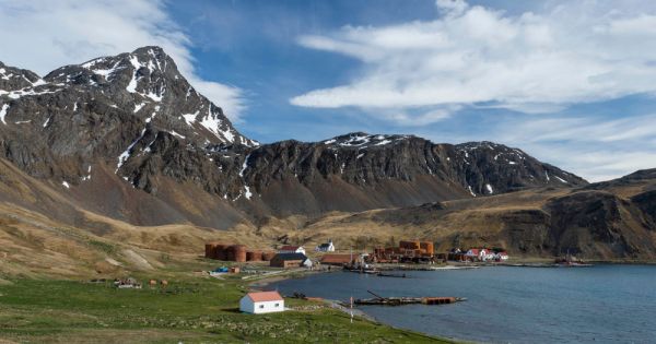 South Georgia after an Operational Manager with understanding on tourism and maritime affairs - Vimarsana News
