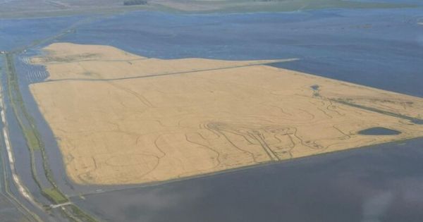 Agricultural emergency decreed in Uruguay - Vimarsana News