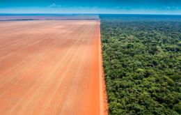 The Amazon and the Cerrado accounted for more than 85% of the deforested area, the latter alone representing 61%