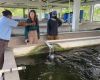 MLA Teslyn Barkman at an aquaculture unit from the Ministry of Agriculture 