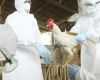 First human death due to avian flu reported