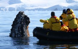 Since its launch in 2022-23 season, data gathered through V-CaPS has contributed to improved protections for whales, implemented by all IAATO operators along the Antarctic Peninsula. 