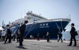 Built at a cost of US$ 47 million, the 9,300-ton Kangei Maru has a slipway to haul up to 70- ton fin whales, and can store up to 600 tons of meat. 