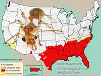 Biting ants invade by the millions Florida, Mississippi, Texas and ...