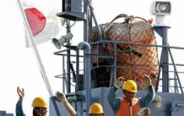 Japan seems more flexible as to whales hunted but will not bend on setting its own quota IWC principle.
