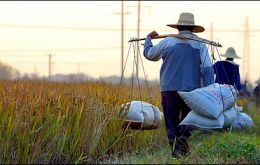 Discontent is widespread in rural areas because of income disparity with urban residents.
